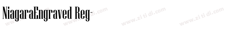 NiagaraEngraved Reg字体转换